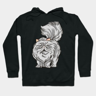 Persian cat - fluffy & beautifull - Gift idea for cat fans Hoodie